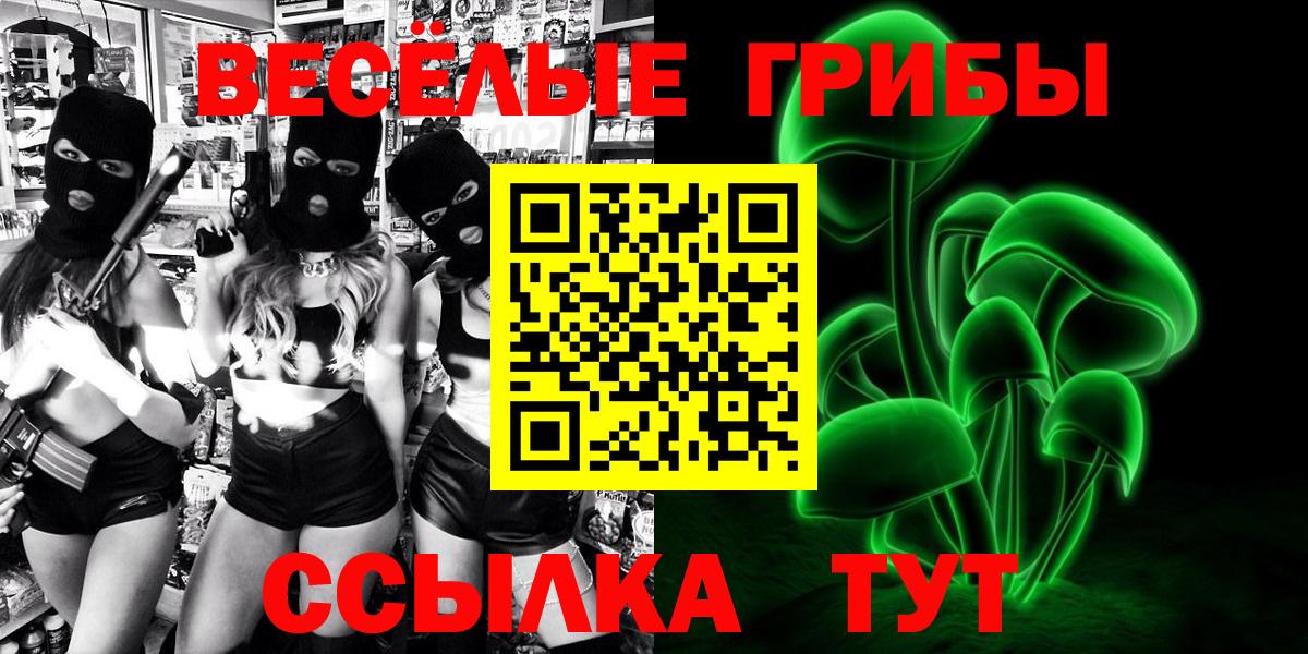 магазин продажи   Вход с VPN  Галлюциногенные грибы MAGIC MUSHROOMS  Кириши  Псилоцибиновые грибы Psilocybe 